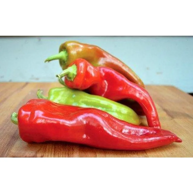 Cubanelle Pepper (65 Days)