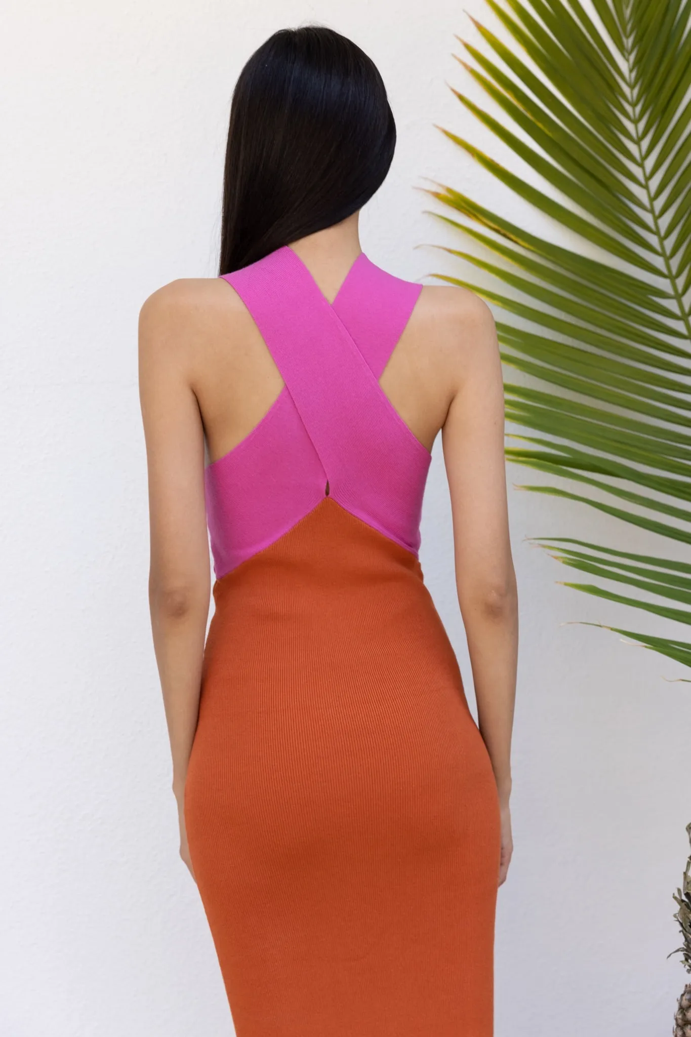 Dragon Fruit Dress
