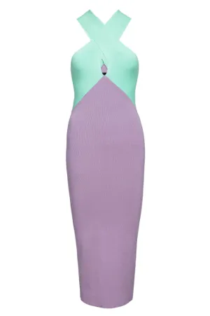 Dragon Fruit Dress