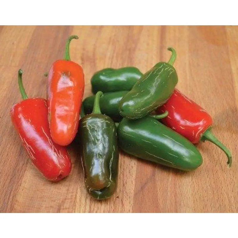 Early Jalapeño Hot Pepper (Heirloom 66 Days)