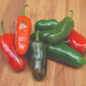 Early Jalapeño Hot Pepper (Heirloom 66 Days)