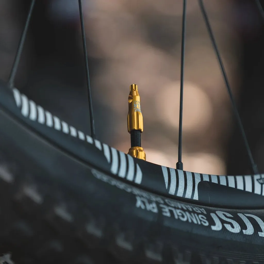 Lezyne CNC TLR Tubeless Valves (60mm) (Pack Of 2)