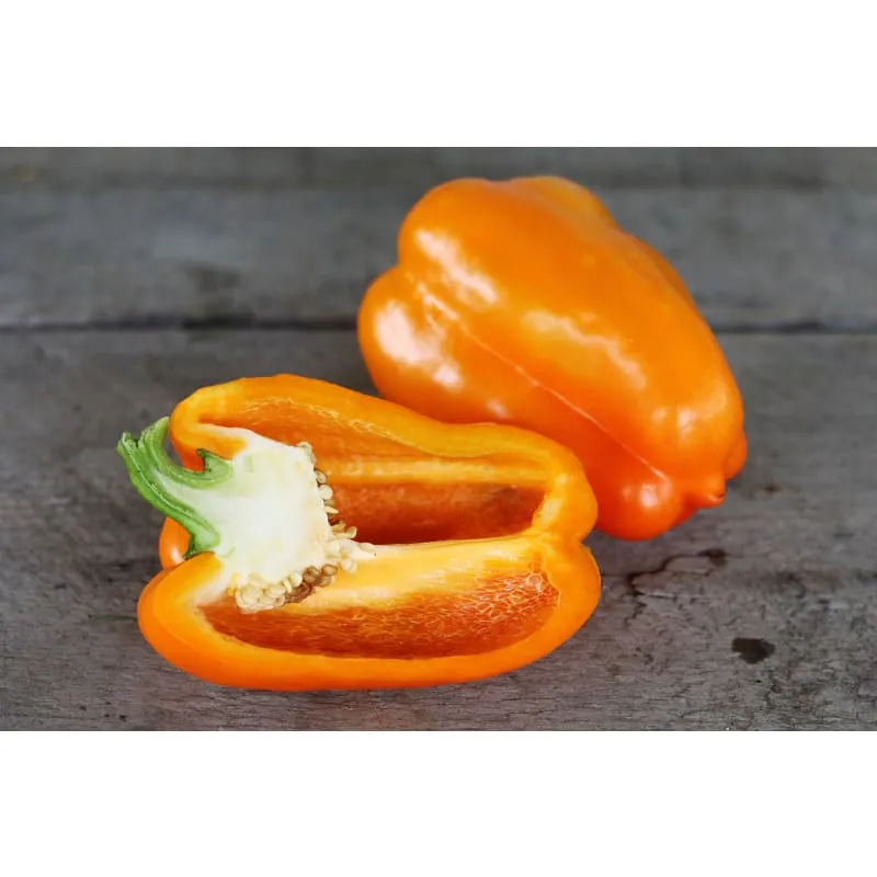 Orange Sun Pepper (81 Days)
