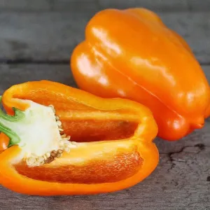 Orange Sun Pepper (81 Days)