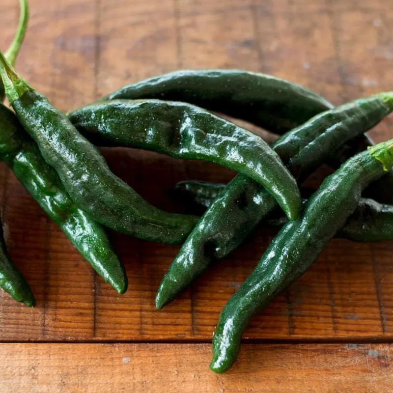 Pasilla Bajio Hot Pepper (Heirloom 80 Days)