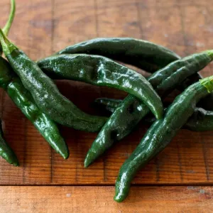 Pasilla Bajio Hot Pepper (Heirloom 80 Days)