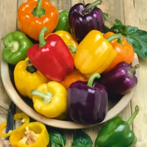Rainbow Blend Pepper (Organic 60-90 Days)
