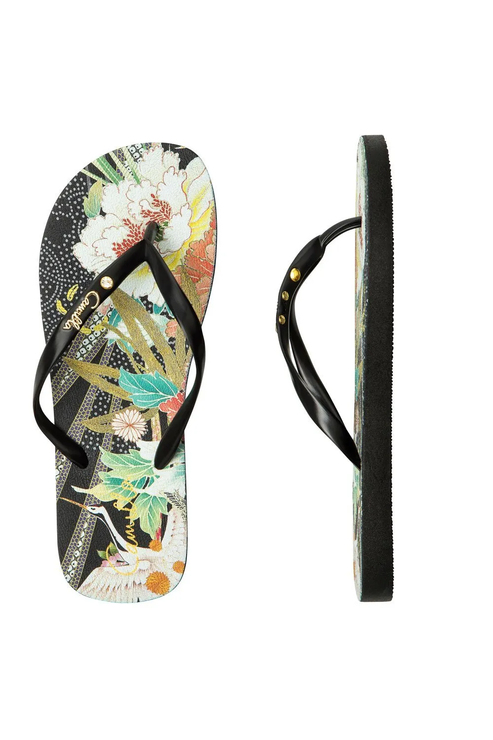 THONGS QUEEN OF KINGS