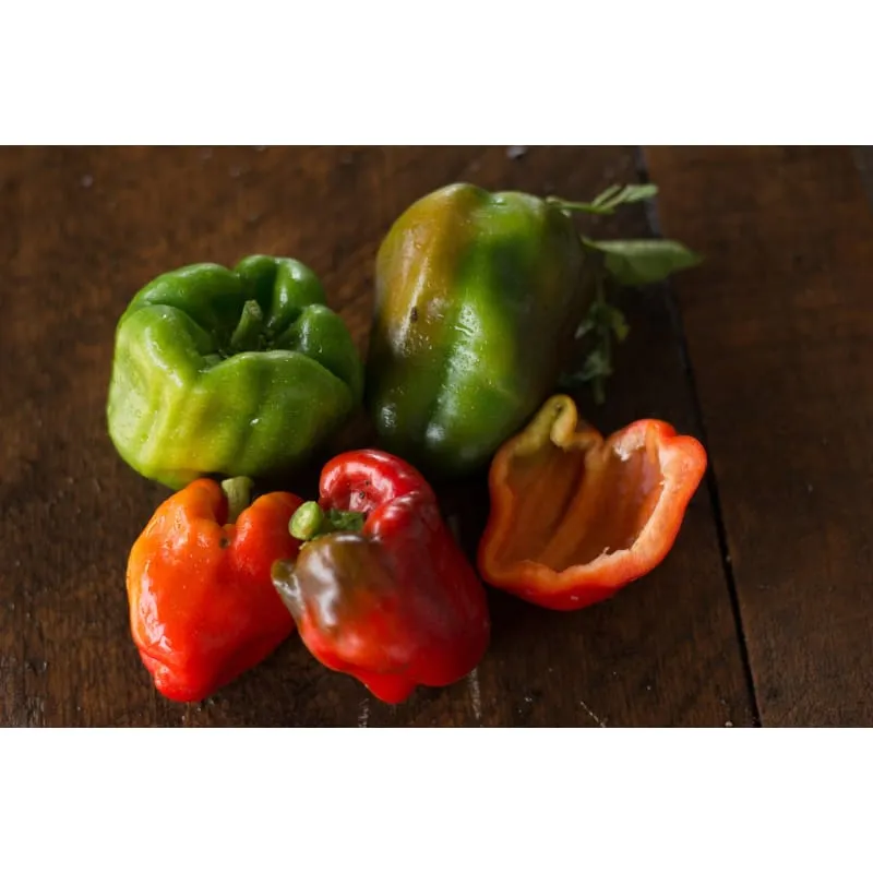 Wisconsin Lakes Pepper (75 Days)