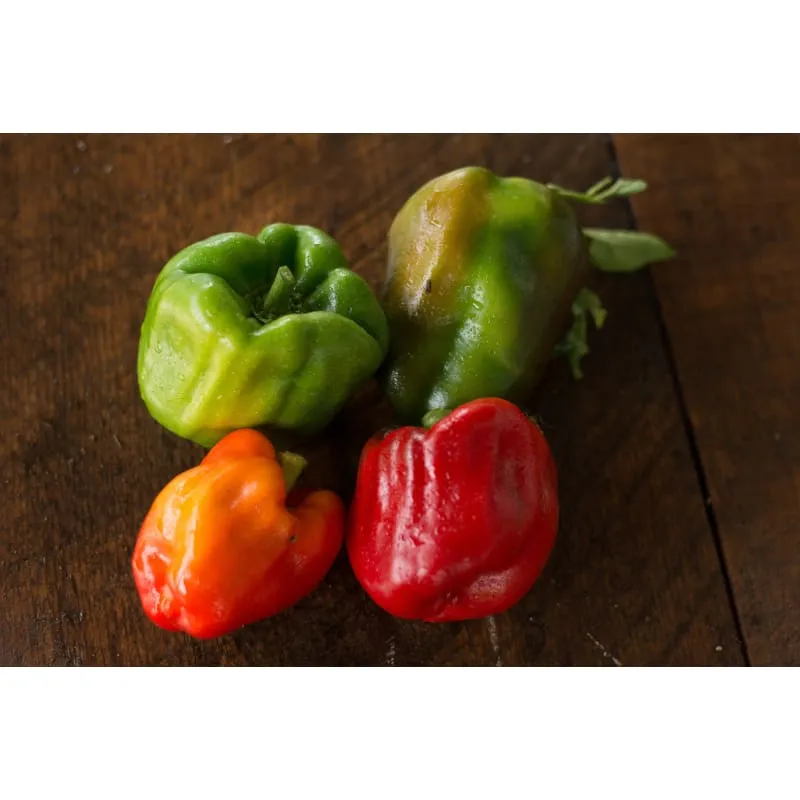 Wisconsin Lakes Pepper (75 Days)